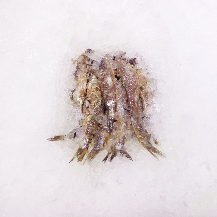 ANCHOAS EN SAL x KG