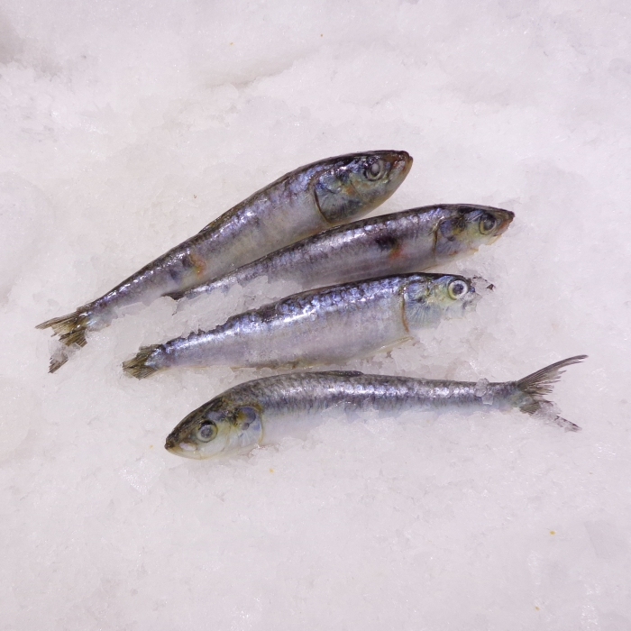 SARDINAS PORTUGUESAS XKG